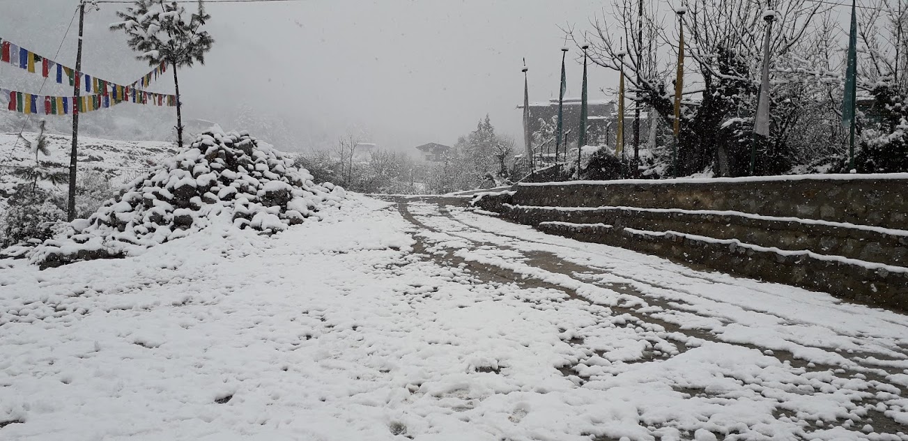 20190228_093314